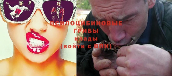 спайс Аркадак
