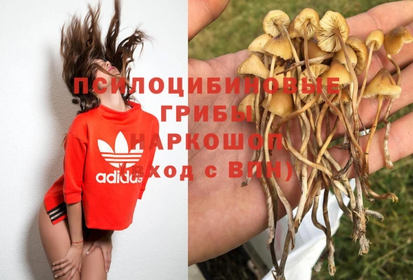 спайс Аркадак