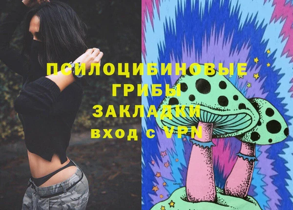 спайс Аркадак