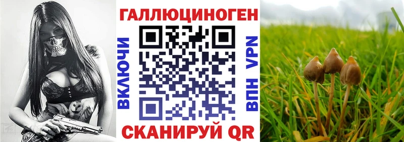 Псилоцибиновые грибы мицелий  MEGA как зайти  Бавлы 
